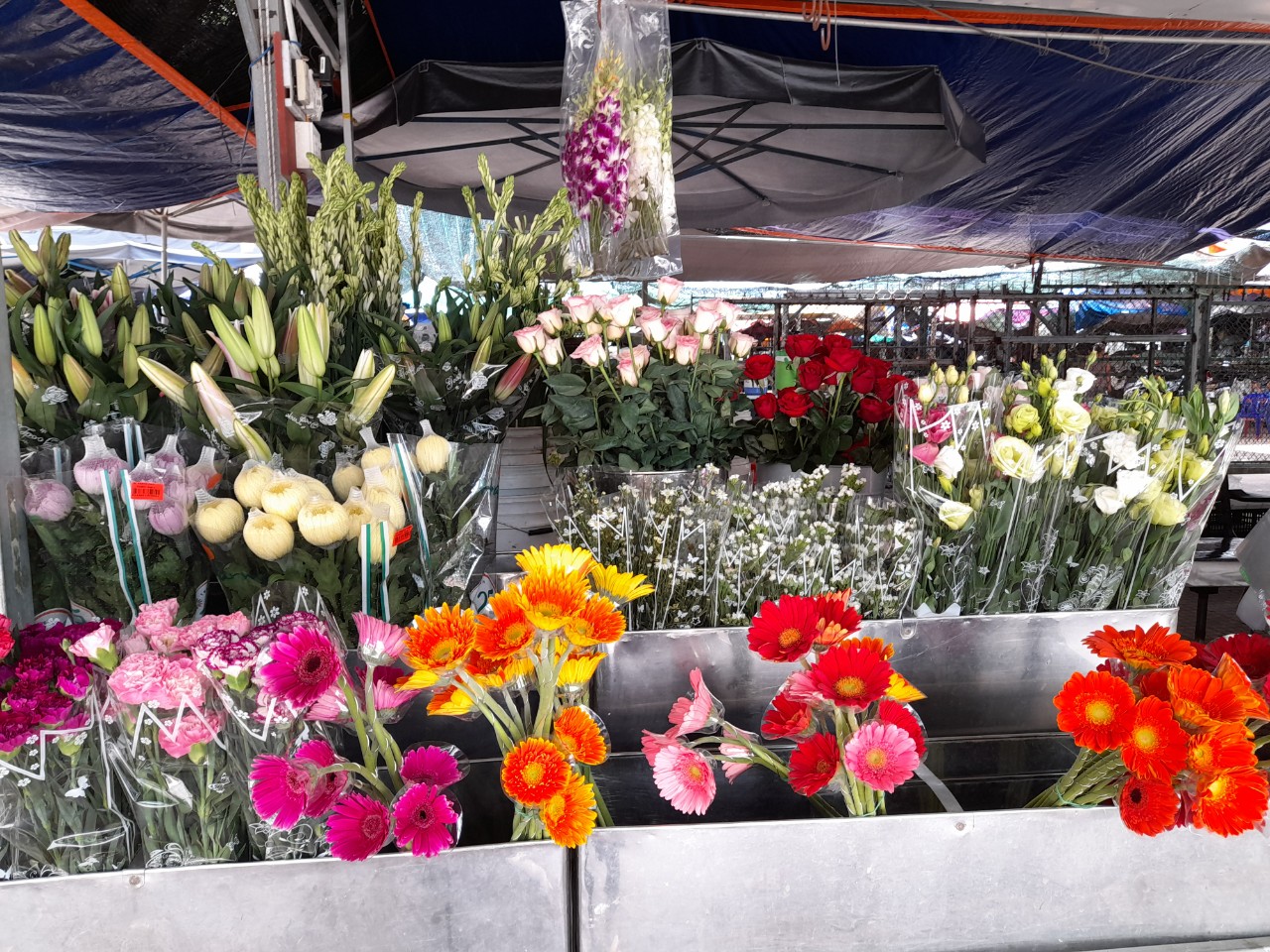 Các loại hoa