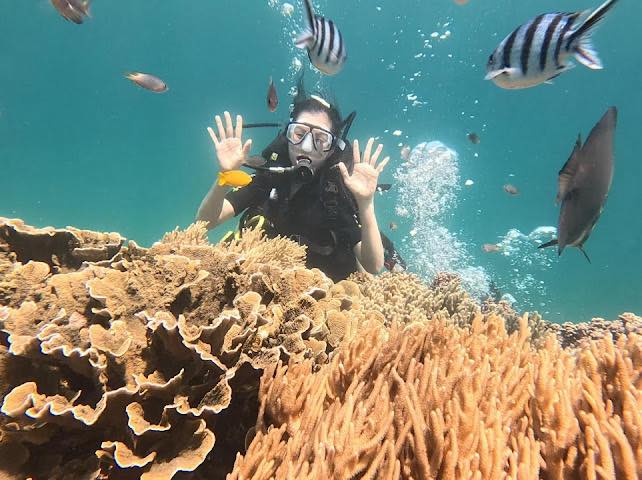 The Haven Sunset Tour Phu Quoc – experience the sunset amidst the seascape at Vinpearl Wonderworld