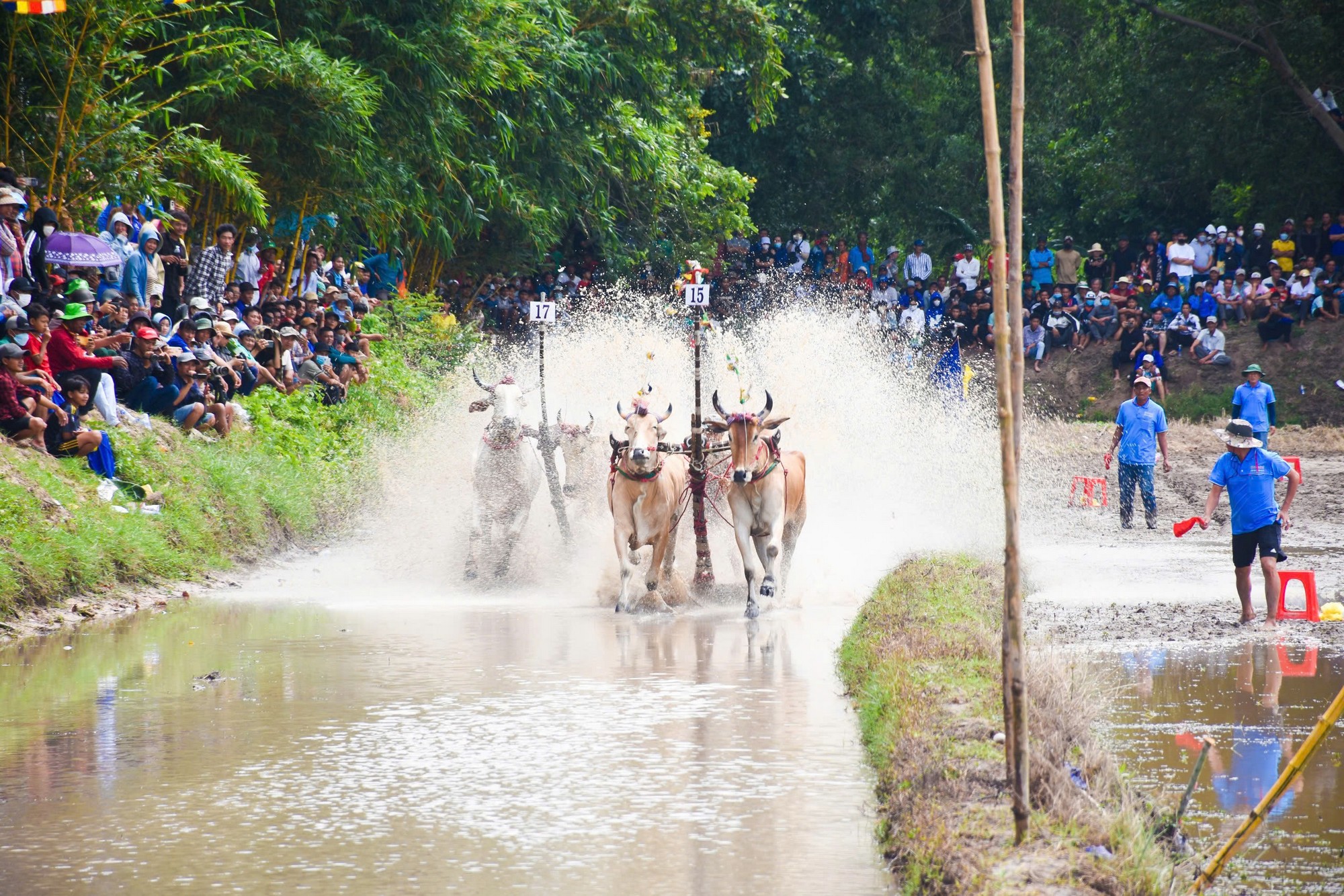 Hội đua bò Bảy Núi tranh cúp Truyền hình An Giang lần thứ 30 