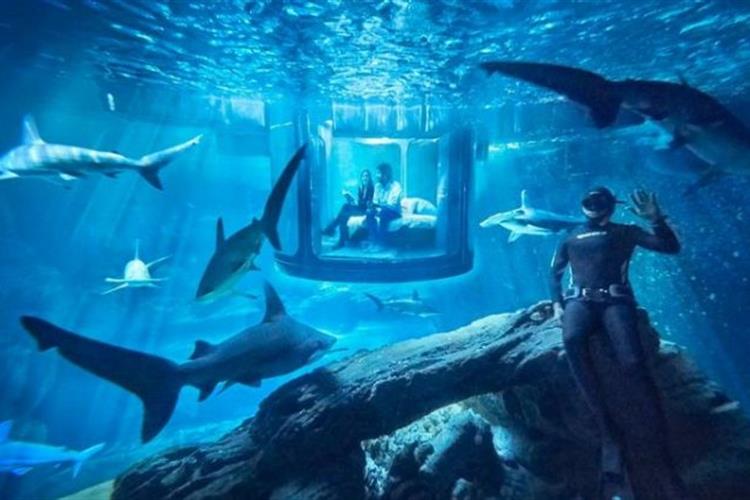 Lịch trình tham quan 3 ngày