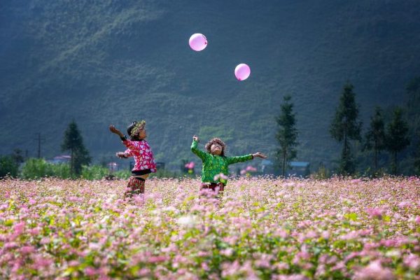 V/v hỗ trợ tuyên truyền, quảng bá các hoạt động, sự kiện, lễ hội tổ chức trong dịp tết Nguyên đán năm 2025 phục vụ khách du lịch