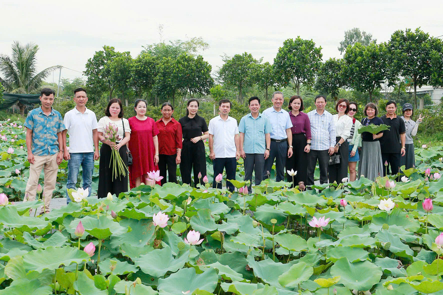 Hoa sen Vân Đài – Đánh thức giá trị văn hóa, kiến tạo điểm đến du lịch đặc sắc của Hưng Yên