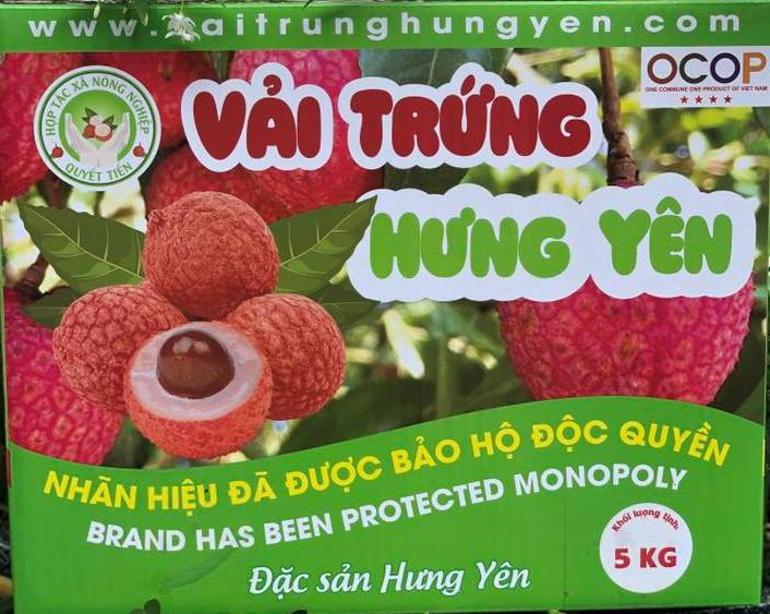 SẢN PHẨM OCOP 4 SAO: Vải trứng Hưng Yên