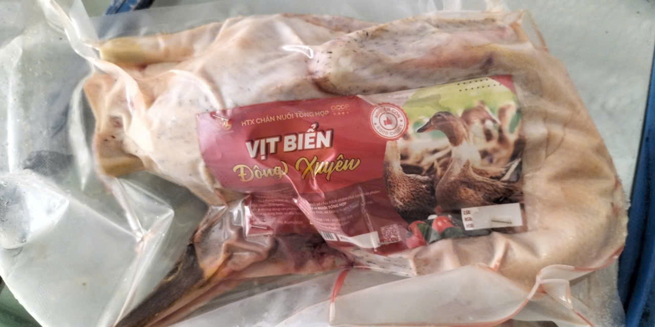 SẢN PHẨM OCOP 4 SAO: Vịt biển và trứng vịt biển Đông Xuyên