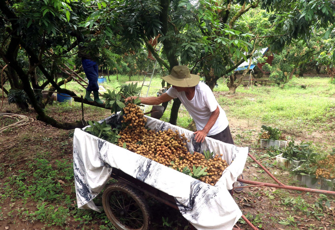Đánh thức làng nghề, mở cánh cửa kinh tế du lịch ở Hưng Yên