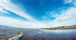 Khám phá vẻ đẹp hoang sơ của bãi biển Cồn Vành