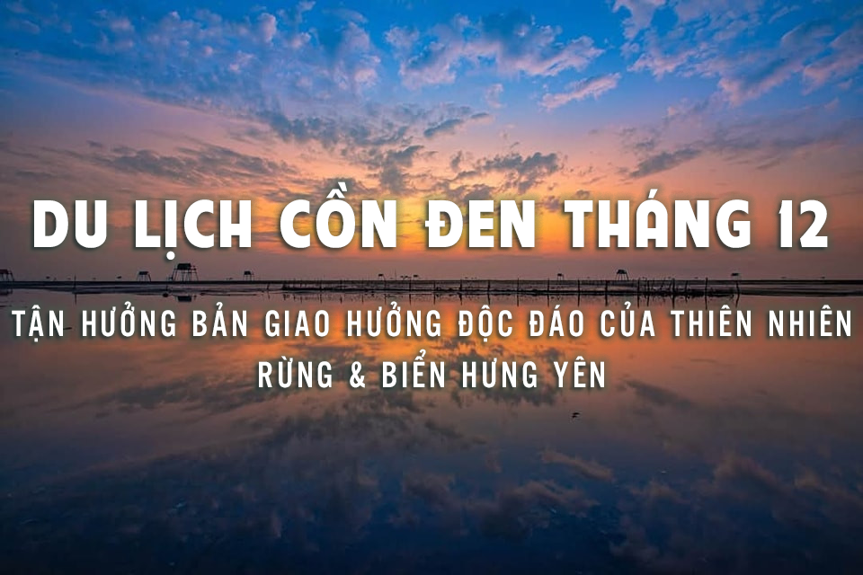 DU LỊCH CỒN ĐEN THÁNG 12 – TẬN HƯỞNG BẢN GIAO HƯỞNG ĐỘC ĐÁO CỦA THIÊN NHIÊN RỪNG & BIỂN HƯNG YÊN
