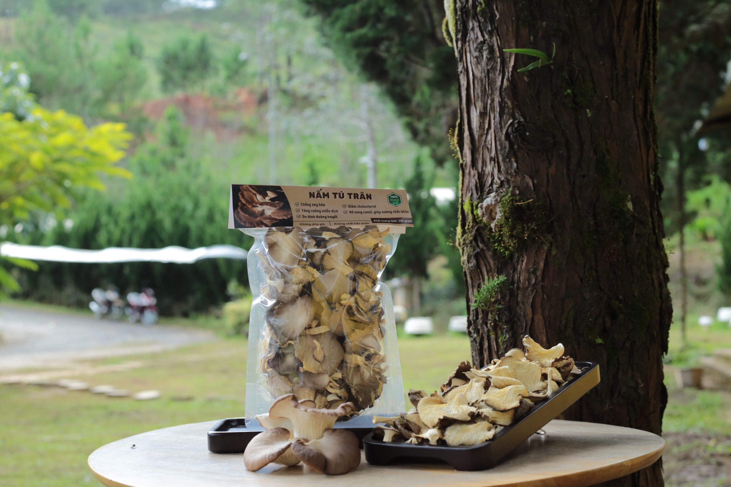 PHÁT TRIỂN DU LỊCH NÔNG THÔN BỀN VỮNG TỪ  MÔ HÌNH NÔNG NGHIỆP TUẦN HOÀN (KỲ 1): Làng Nấm Đà Lạt – từ khu thử nghiệm đến mô hình du lịch canh nông tiêu biểu