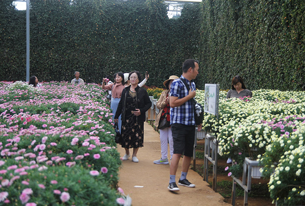 DALAT CITY