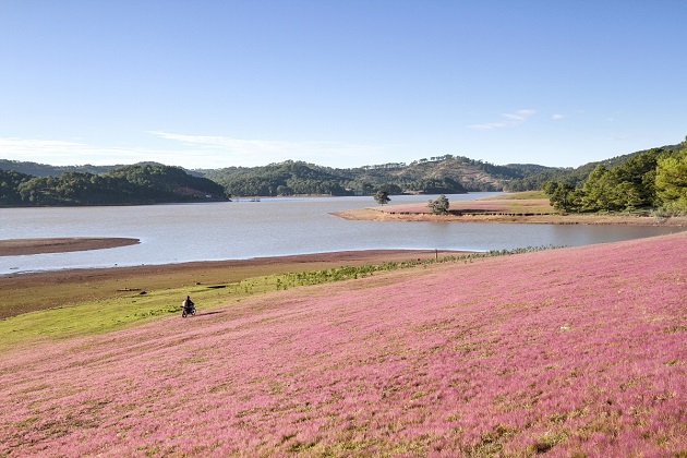 DALAT CITY
