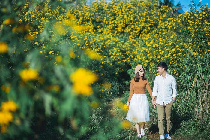 Mùa hoa dã quỳ đã phủ vàng khắp Đà Lạt, có bận đến mấy bạn cũng nhớ về thăm! 