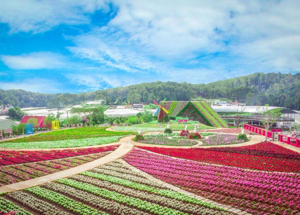 Festival Hoa Đà Lạt lần thứ 8 – 2019 nhiều nét mới