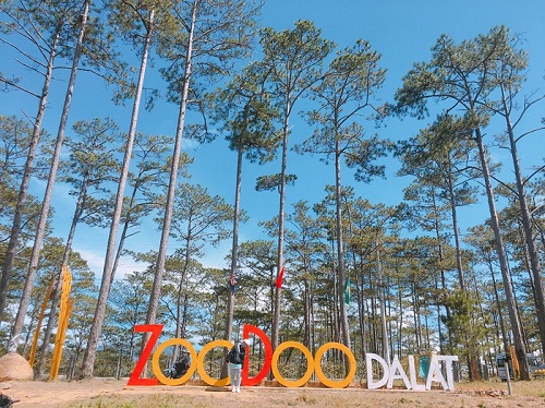 TOUR THAM QUAN SỞ THÚ ZOODOO ĐÀ LẠT - TOUR HÀNG NGÀY 3