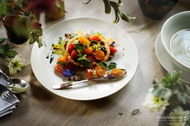 Salad