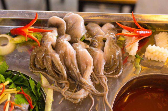 Bạch Tuộc Nướng