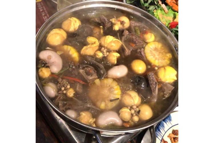  Hotpot Pigeon