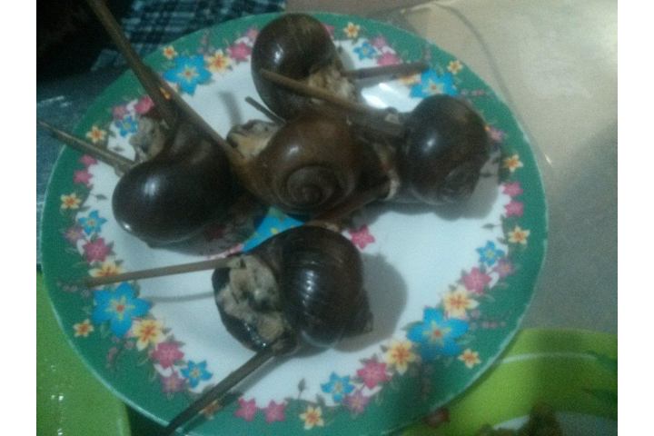 Ốc Nhồi Thịt
