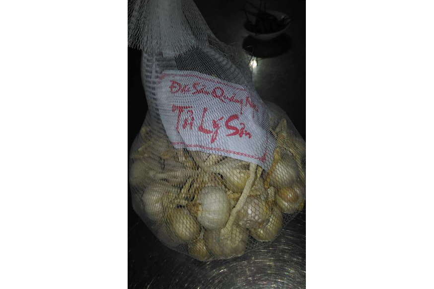 Tỏi Lý Sơn