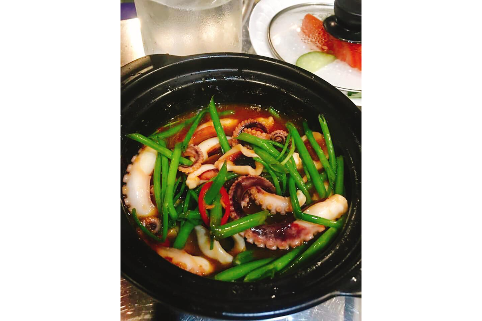 Bạch Tuộc Thố