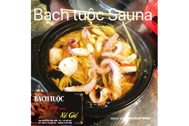 Bạch Tuộc Sauna