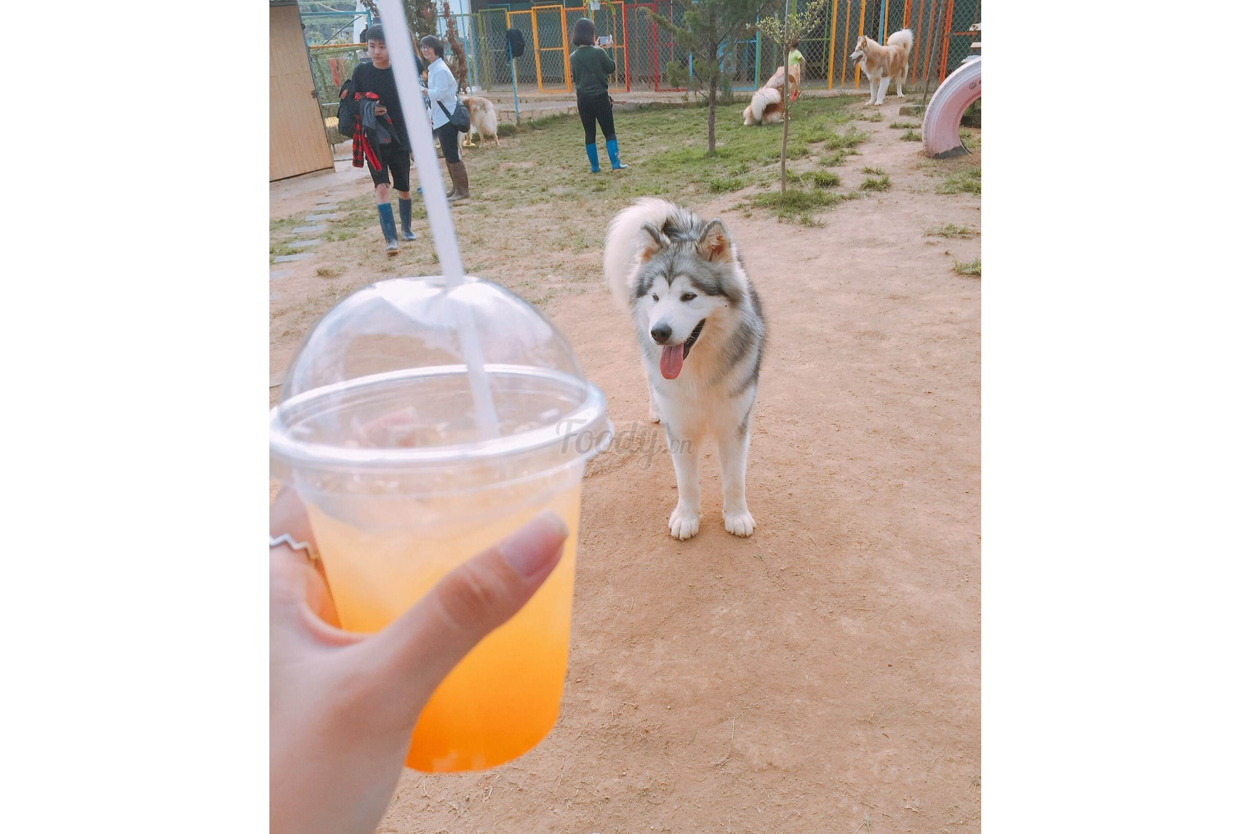 Nước Ép Cam