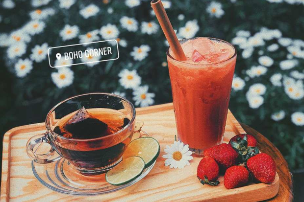 Lipton, Sinh Tố Dâu
