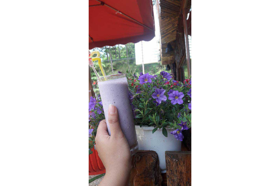 Sinh Tố Việt Quất