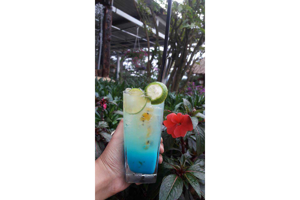 Soda Phúc Bồn Tử