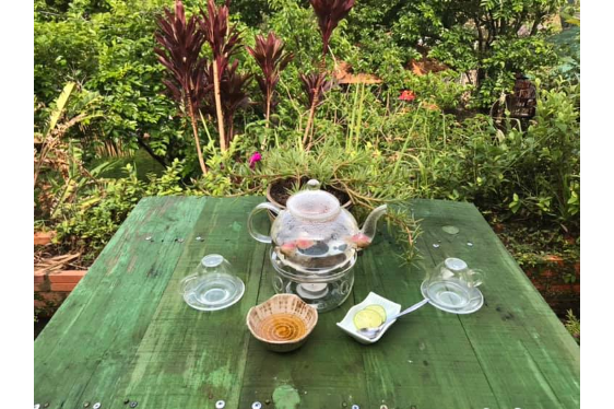 Trà Mẫu Đơn