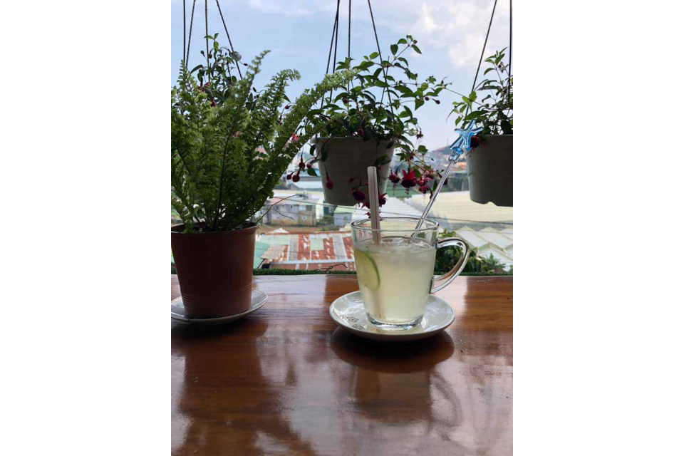 Cá lóc hấp bầu