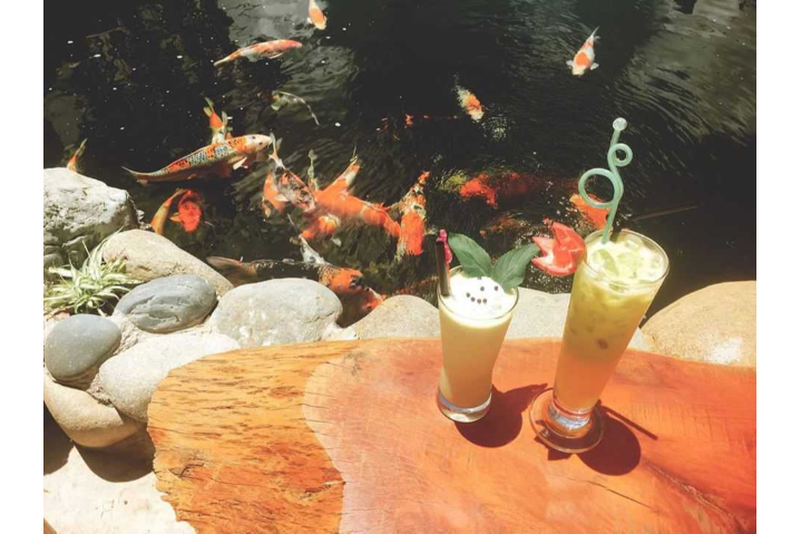Sinh Tố Thơm, Nước Ép Cóc