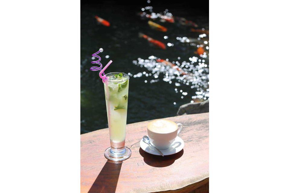Chanh Đá, Capuchino