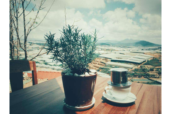 Đà điểu lúc lắc