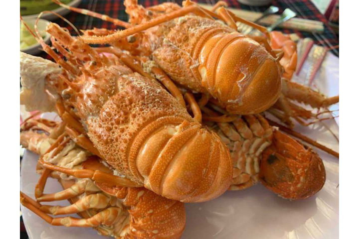 Tôm Hùm Hấp