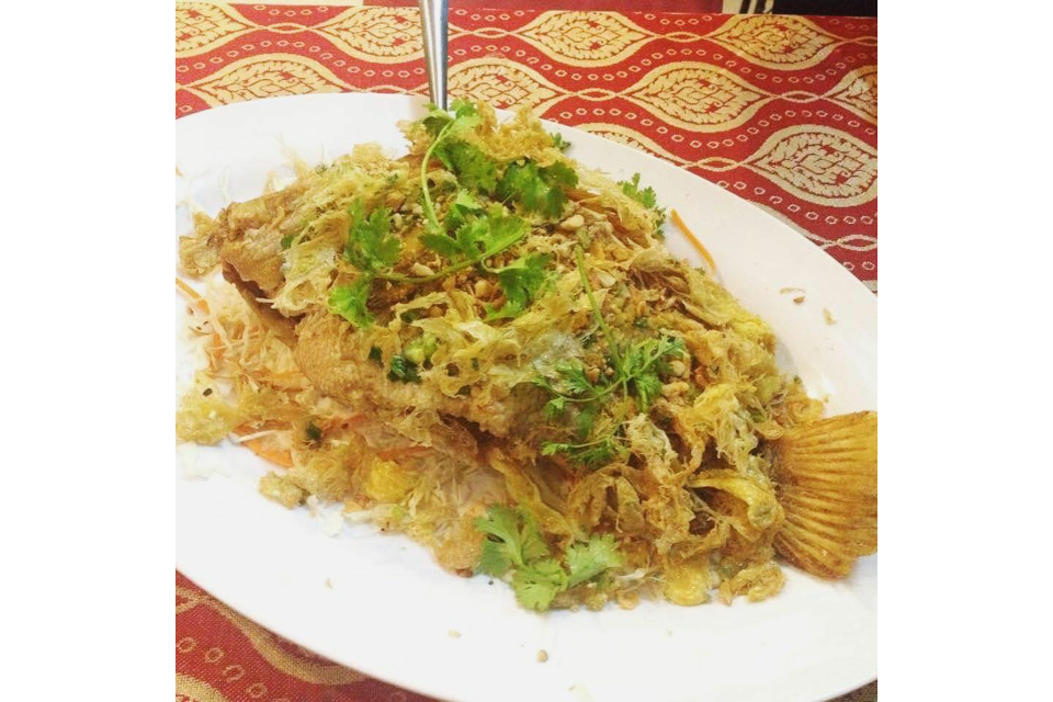 Cá Chiên Xù