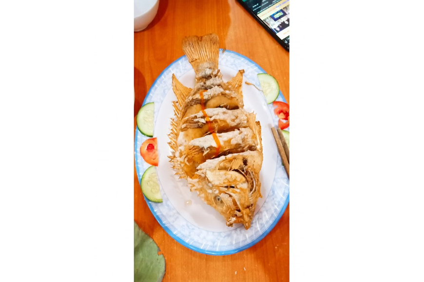 Cá Diêu Hồng Chiên Xù