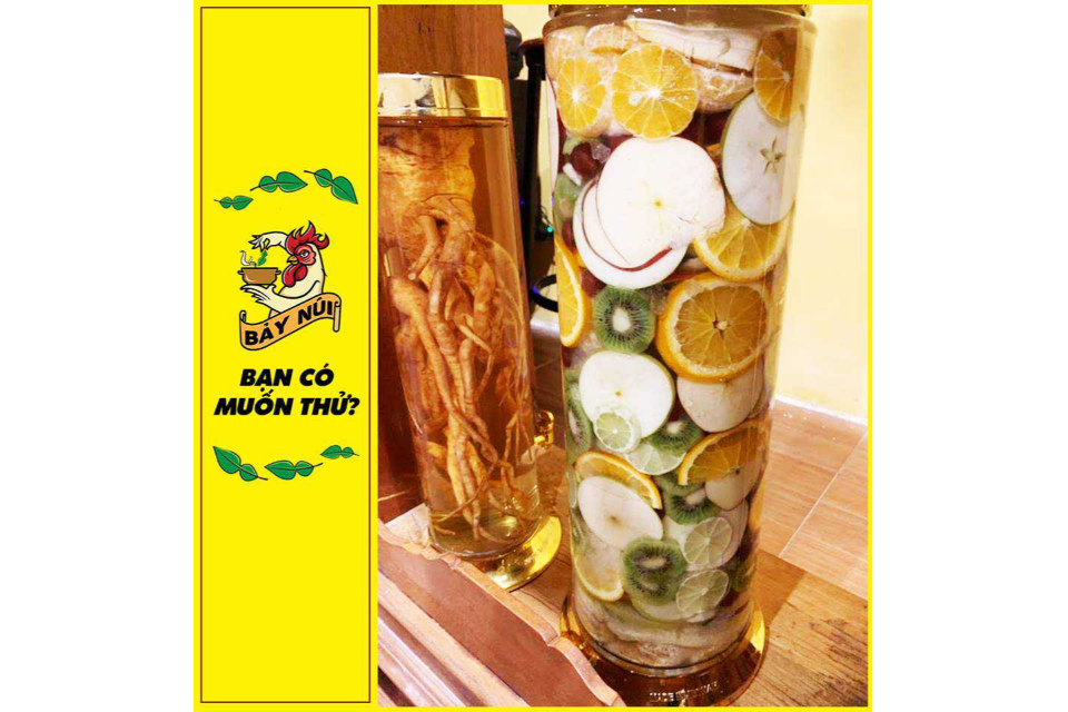 Rượu Đinh Lăng, Rượu Trái Cây