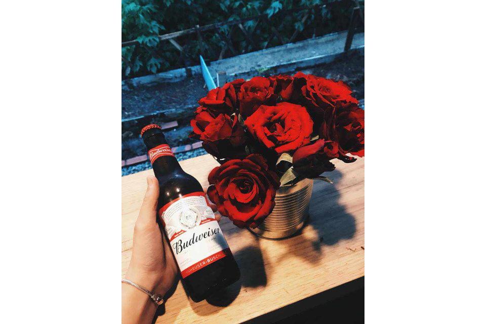 Bia Budweiser