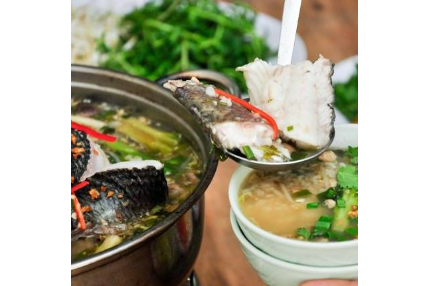 Lẩu Cháo Cá Tầm