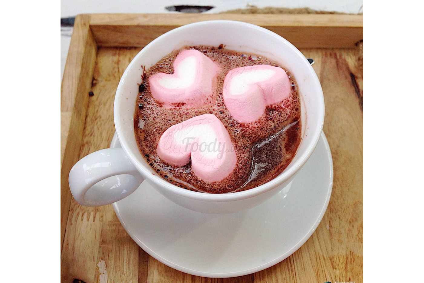 Chocolate Mistyforest
