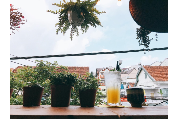 Nước Ép Cam