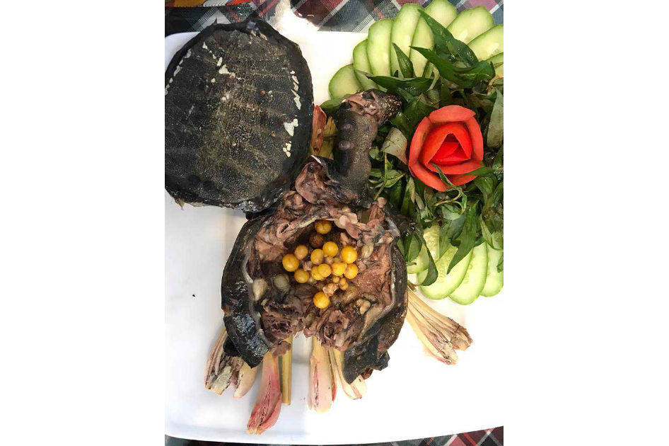 Ba Ba Hấp