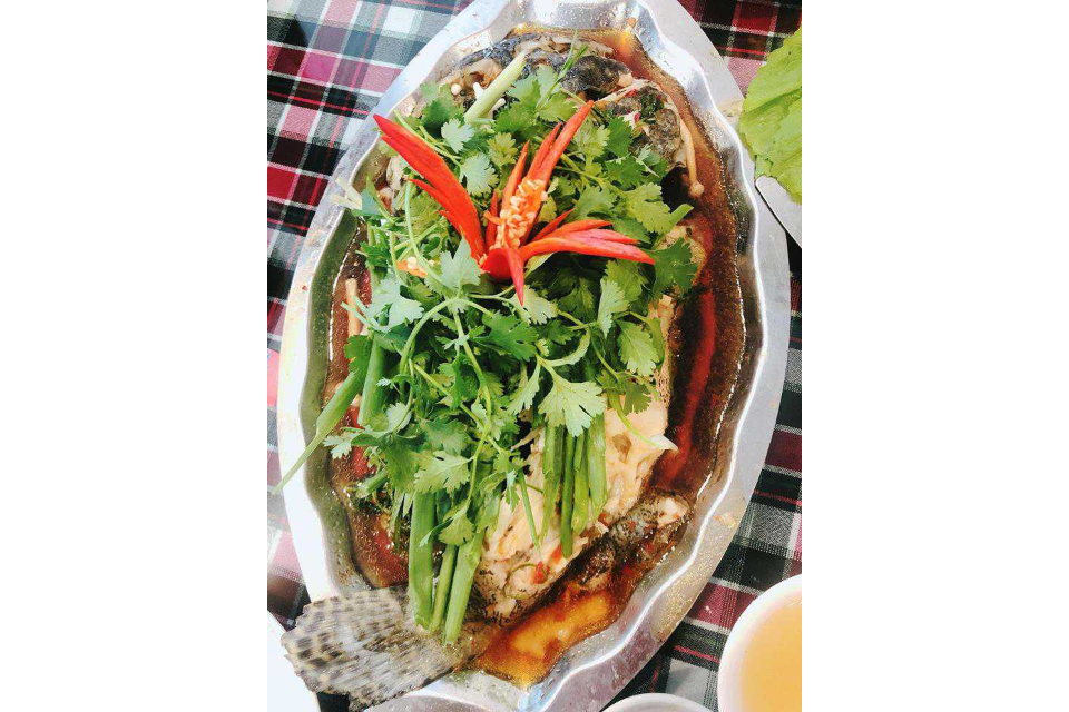 Cá Mú Bông Hấp