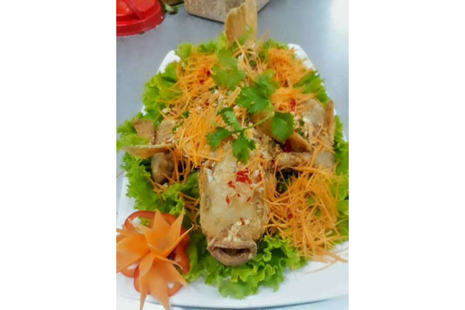 Cá Chiên Xù