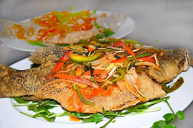 Cá Chiên Xù
