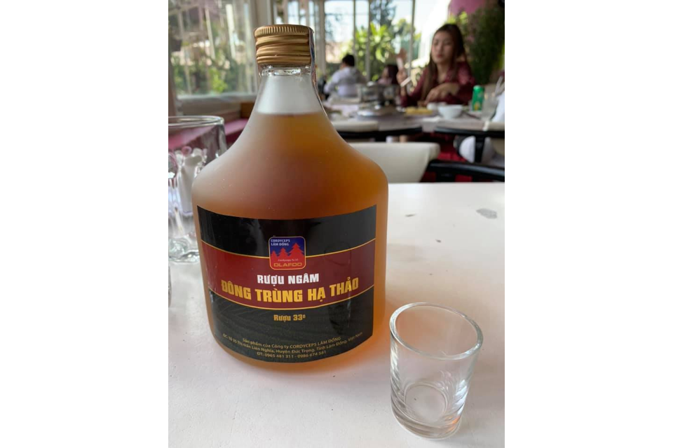 Rượu Đông Trùng Hạ Thảo