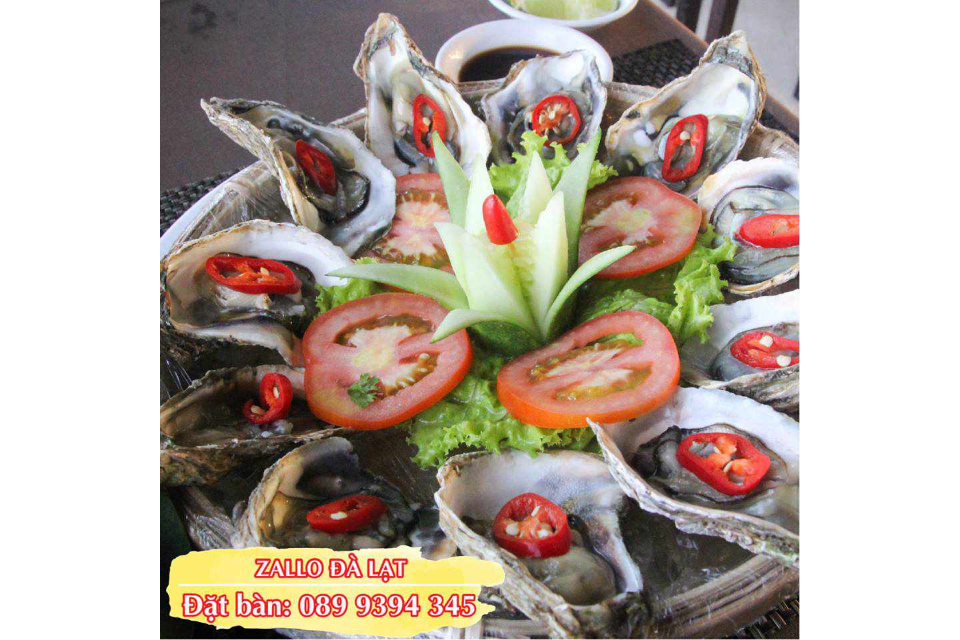 Hàu Tươi