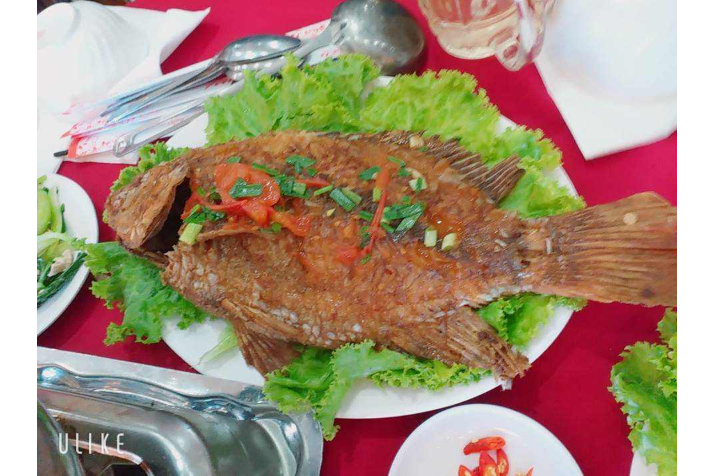 Cá Diêu Hồng Chiên Giòn