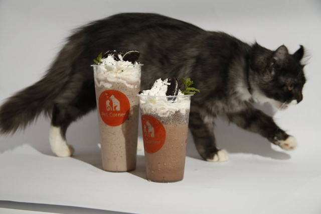 CaCao Sữa Kem Và Cà Phê Sữa Kem