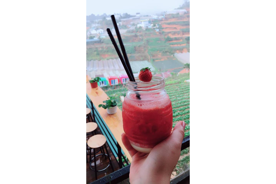 Sinh Tố Dâu
